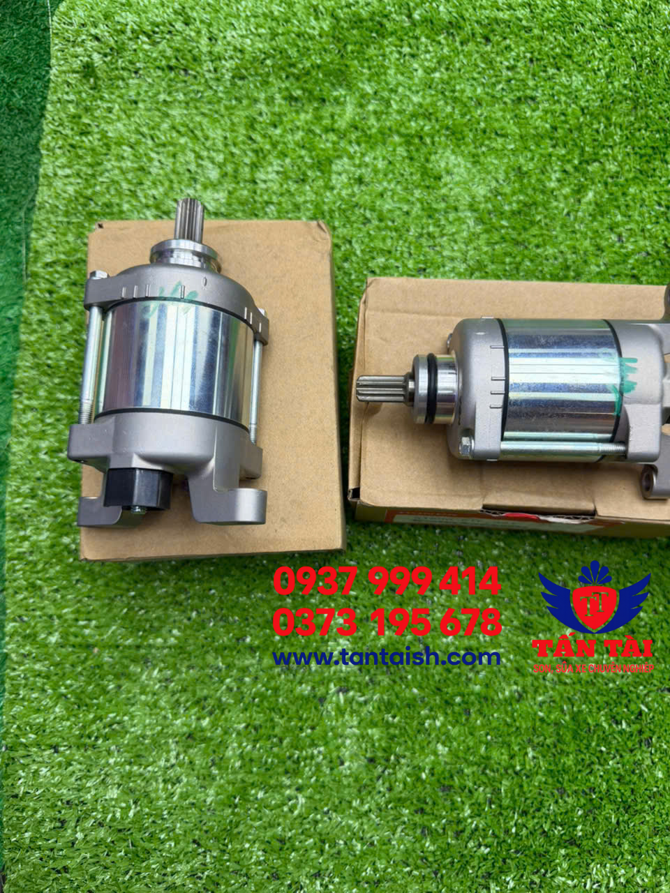 Củ đề Sh ý zin mới