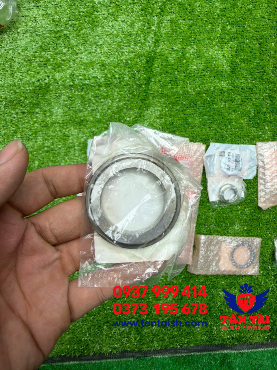 Chén cổ SH Ý / Dylan /PS / @ zin Ý